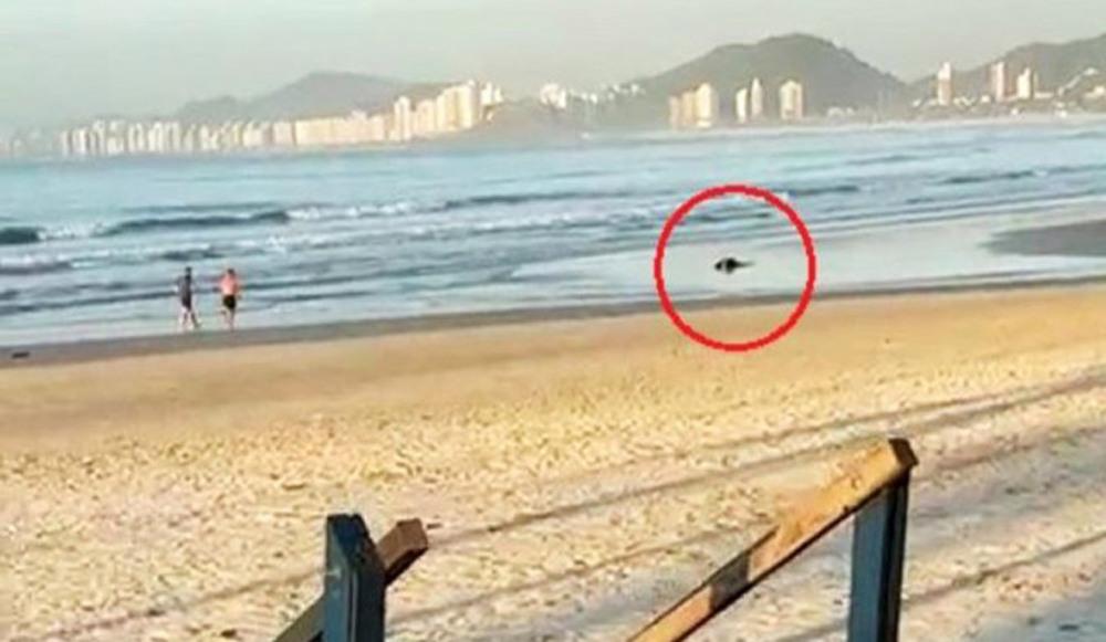 Ex-cabo do Exército que matou suspeito após assalto em praia de Guarujá vai a júri popular