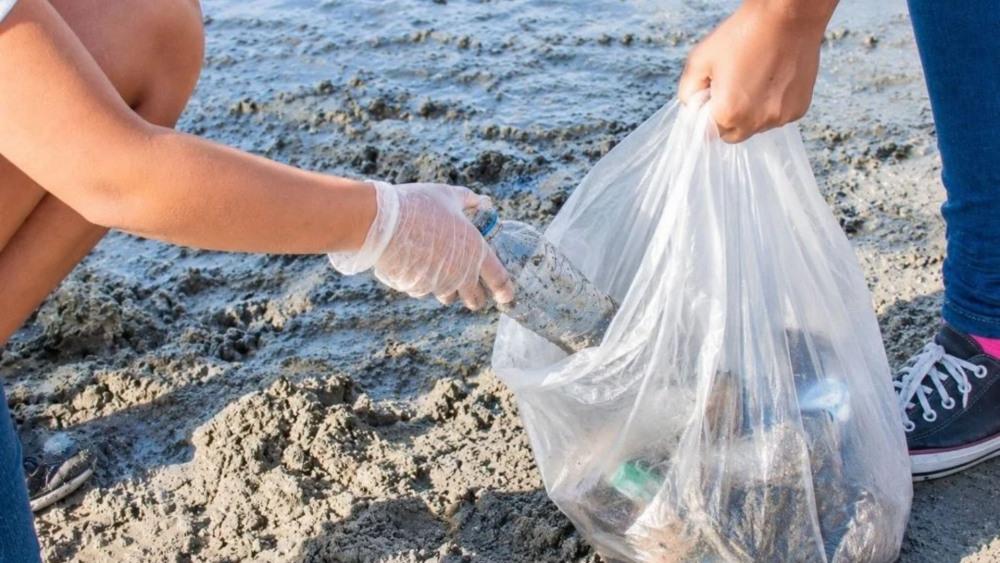 São Vicente realiza ação de limpeza na Ilha Porchat em defesa dos oceanos