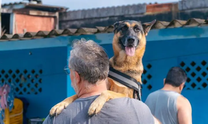Bertioga promove mutirão de castração e microchipagem para cães e gatos