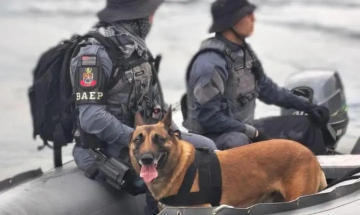 Cães farejadores encontram mais de 20 kg de drogas em Cubatão