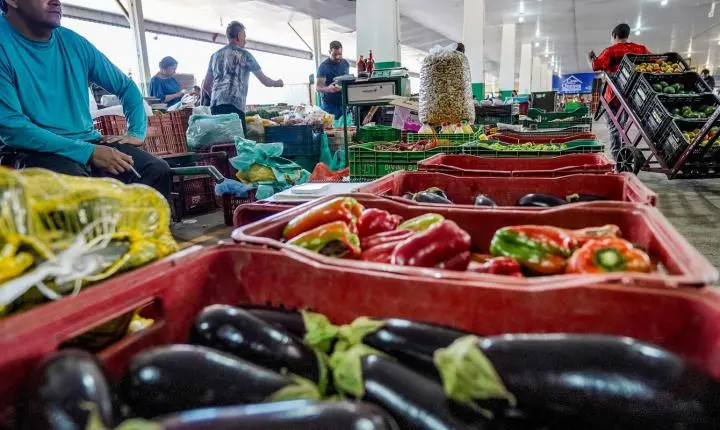 Nova campanha nacional promove o combate ao desperdício de alimentos