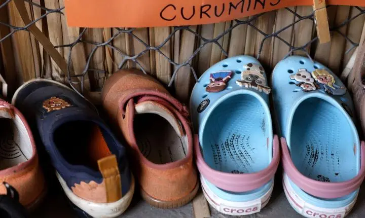 Censo revela que apenas 17% das creches e pré-escolas públicas possuem infraestrutura básica completa