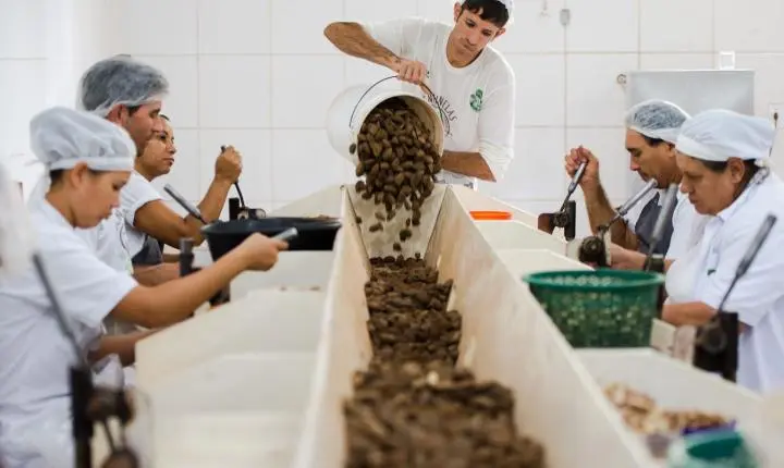 Acordo mercosul-ue: prazo para consulta sobre bens sustentáveis termina na quarta