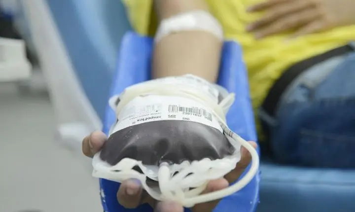Doação de sangue no Brasil terá regras mais flexíveis a partir de outubro