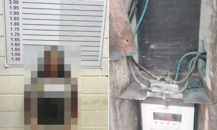 Dona de adega é presa por furto de energia no litoral de SP; comércio estava irregular há 8 anos