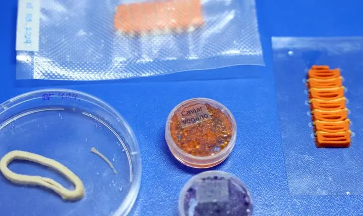 Embrapa desenvolve alimentos impressos de base vegetal, como salmão e caviar