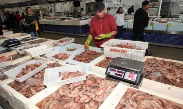 Festival da Tainha e Camarão oferece pescados com preços especiais em Santos