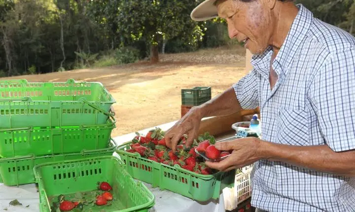 Finep destina R$ 220 milhões para impulsionar a inovação na agricultura familiar