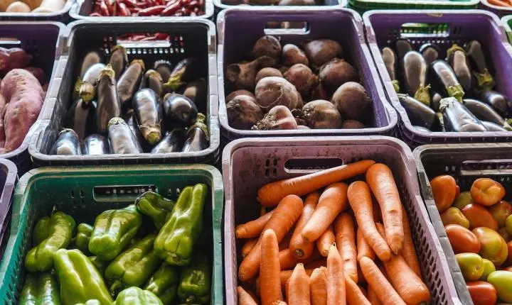 Inca lança campanha para fortalecer apoio nutricional a pacientes oncológicos