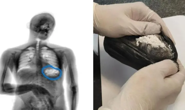 Mais de 2 kg de drogas são apreendidos com visitantes de presídios