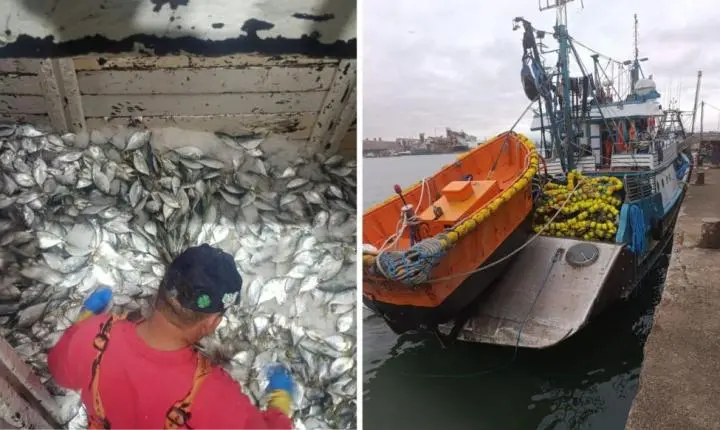 Pescadores são multados em R$ 1,8 milhão por pesca irregular em Guarujá