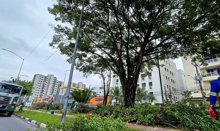 Prefeitura realiza poda ecológica na Av. Leomil a partir desta terça-feira (28)
