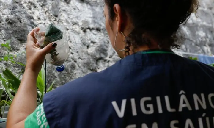 Aumento nos casos de dengue em São Paulo acende alerta com 42 mortes
