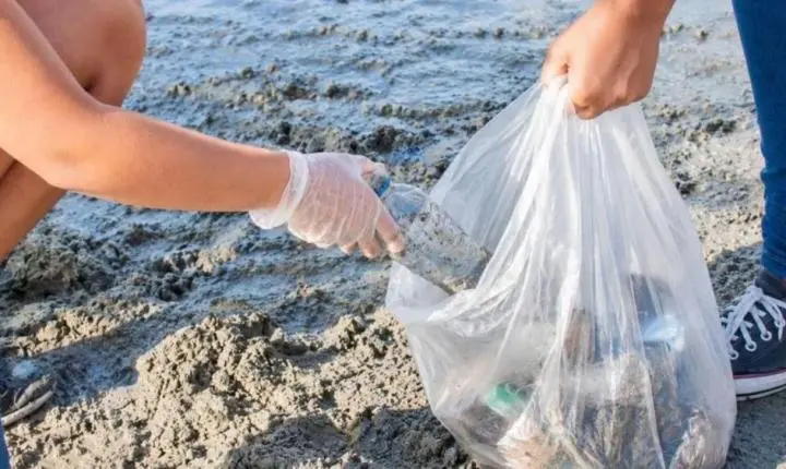 São Vicente realiza ação de limpeza na Ilha Porchat em defesa dos oceanos