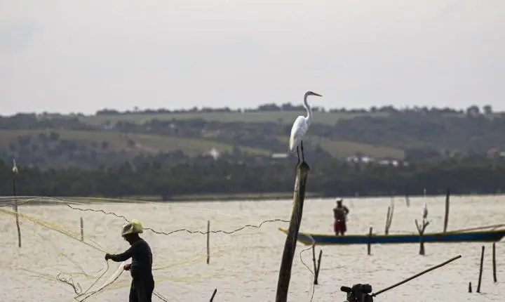 Sexto lote do seguro-defeso será liberado na terça-feira